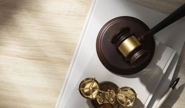 top-view-career-guidance-items-judges copia